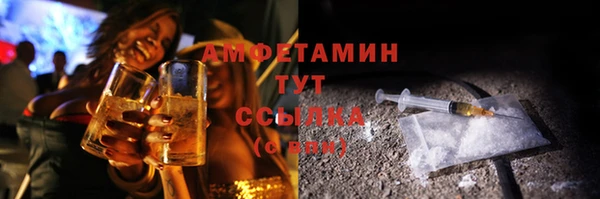 молекула духа Покров