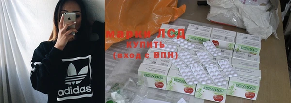 прущие грибы Абаза