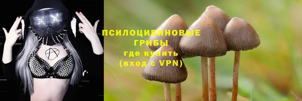 молекула духа Покров