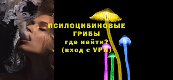 прущие грибы Абаза