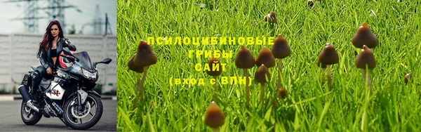 гашиш Абинск