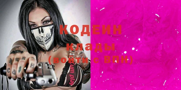 молекула духа Покров