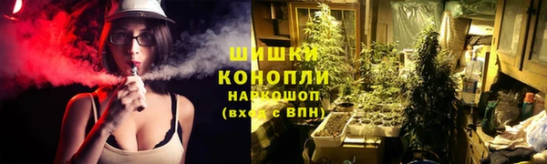 прущие грибы Абаза