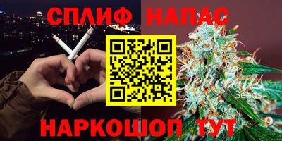 скорость Кингисепп