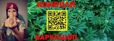 скорость Кингисепп