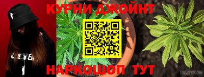 скорость Кингисепп