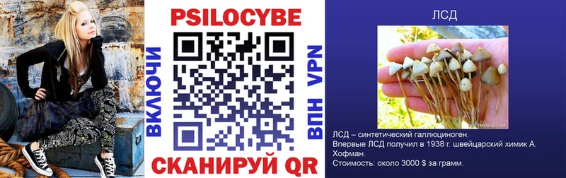 Галлюциногенные грибы MAGIC MUSHROOMS Курчатов