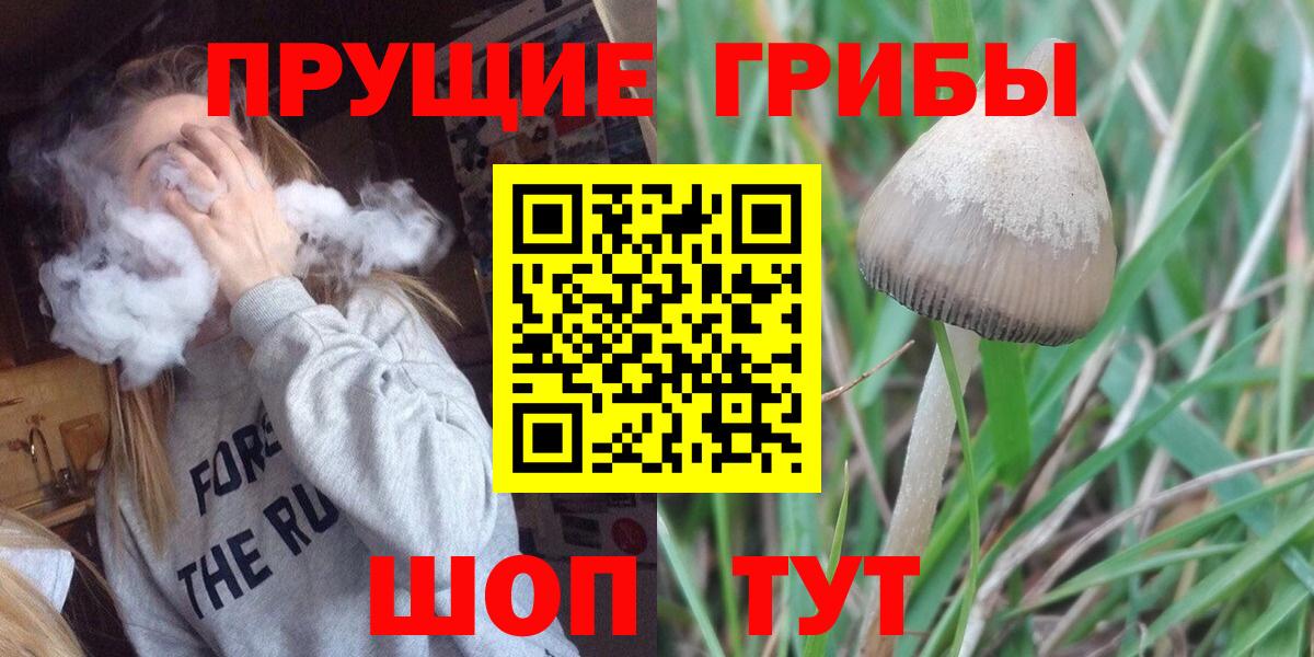 купить   Галлюциногенные грибы мухоморы  Курчатов  Вход с VPN  Псилоцибиновые грибы прущие грибы 