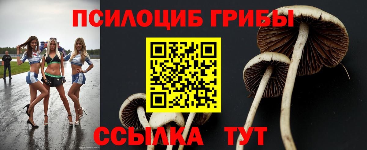 МЕФ кристаллы  ГАШ  NBOMe  Курчатов  Вход с VPN  МДМА  ЭКСТАЗИ  Конопля  Купить  КОКАИН 