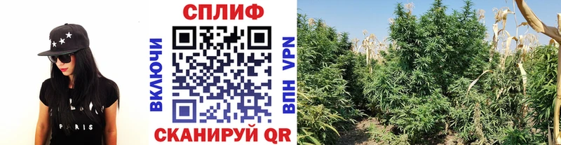 Каннабис VHQ  Курчатов 